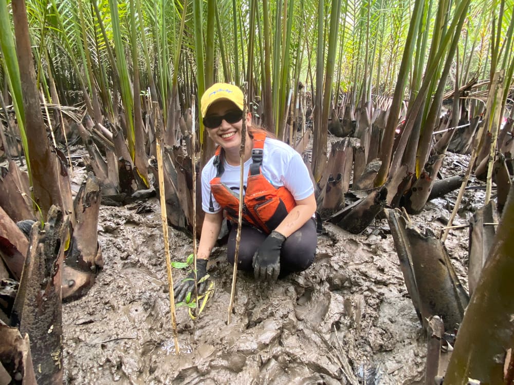 Planting mangrove propagules in the mud